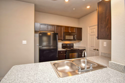 Silverleaf-Panhandle 18